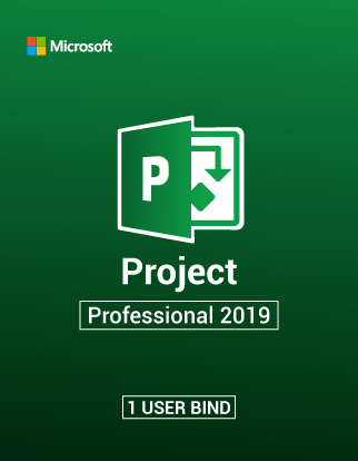 Microsoft Project pro 2019