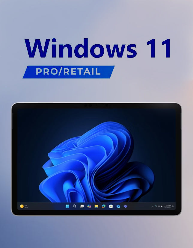 Microsoft Windows 11 Professional